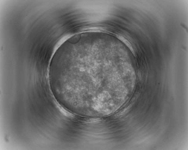 X0000095881482200802081043