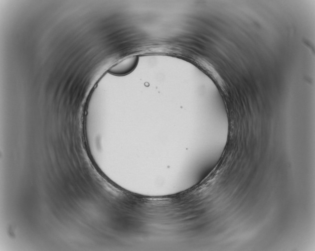 X0000095881483200802081043