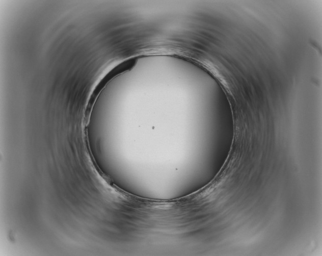 X0000095881484200802081043