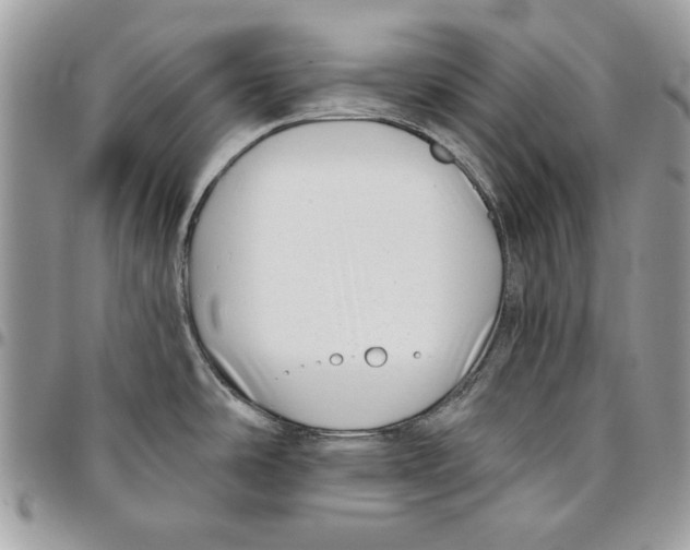 X0000095881486200802081043