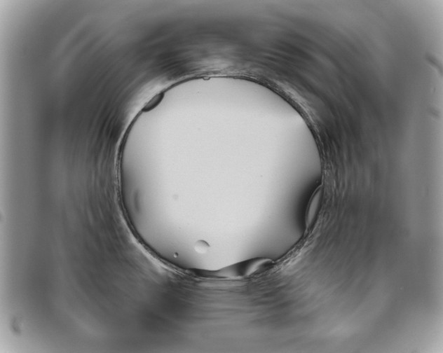 X0000095881487200802081043