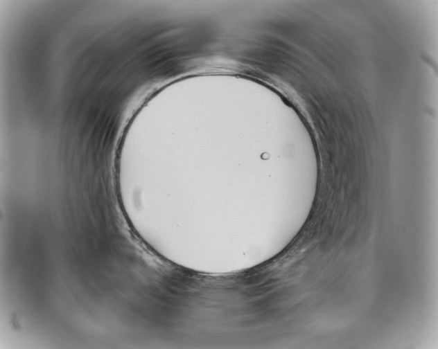 X0000095881488200802081043