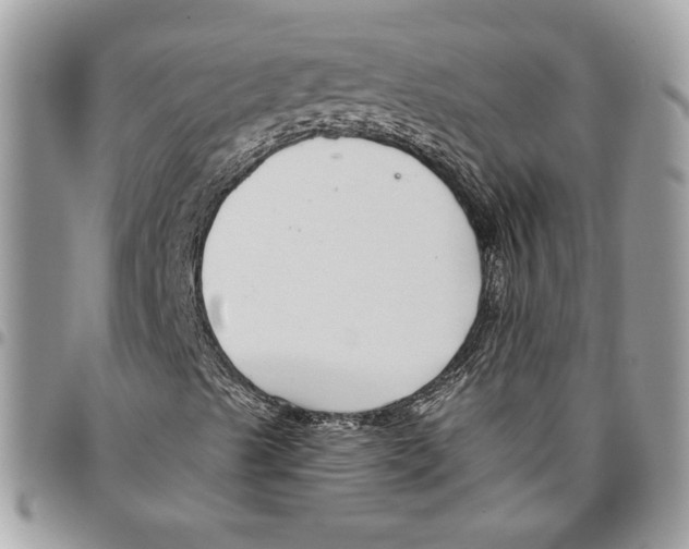 X0000095881489200802081042