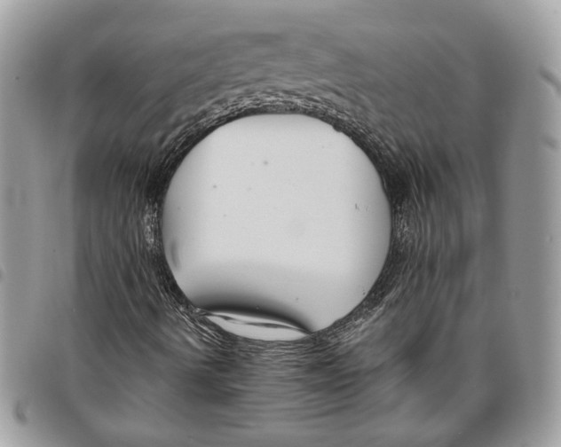 X0000095881490200802081042