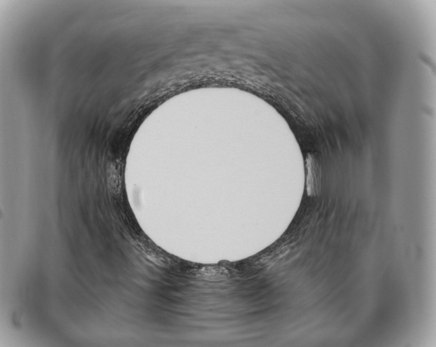 X0000095881491200802081042