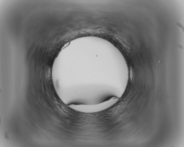 X0000095881492200802081042