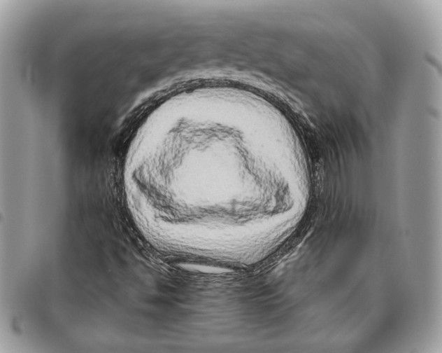 X0000095881494200802081042