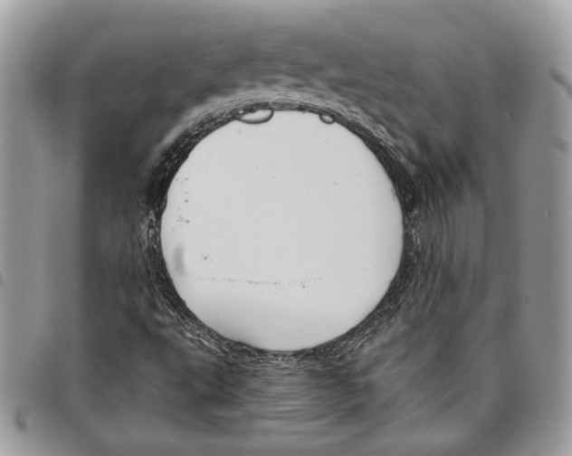 X0000095881495200802081042