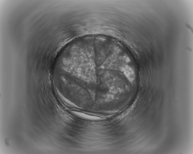 X0000095881497200802081042