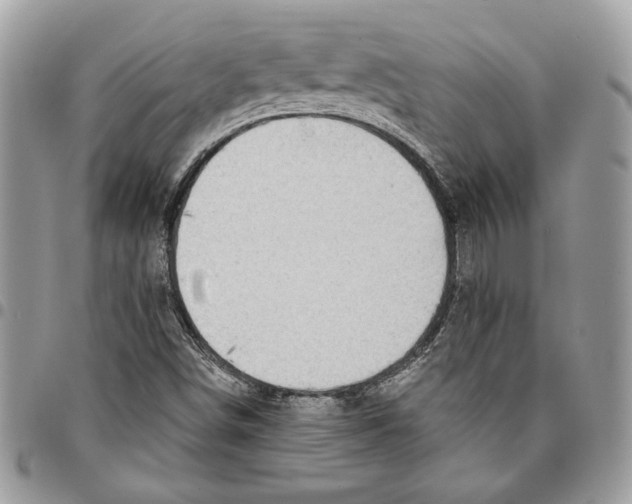 X0000095881498200802081042