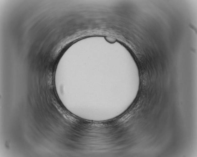 X0000095881499200802081042