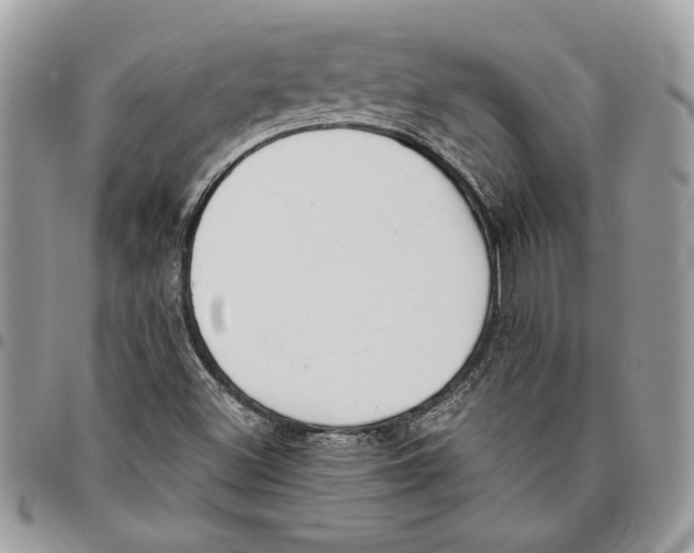 X0000095881500200802081042