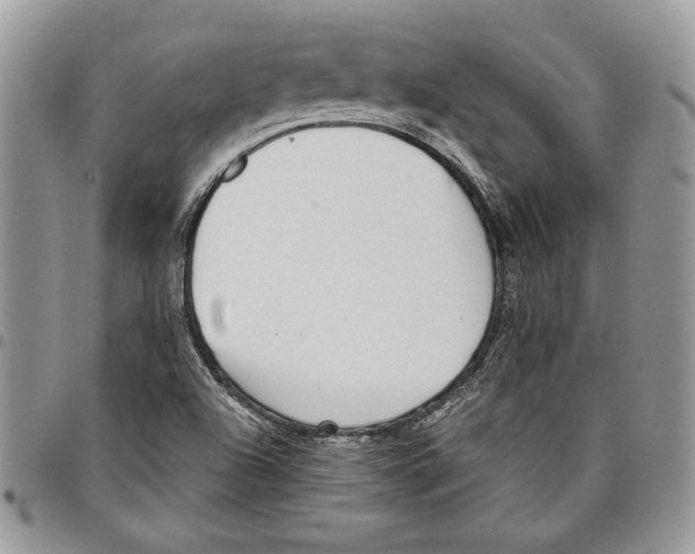 X0000095881504200802081042