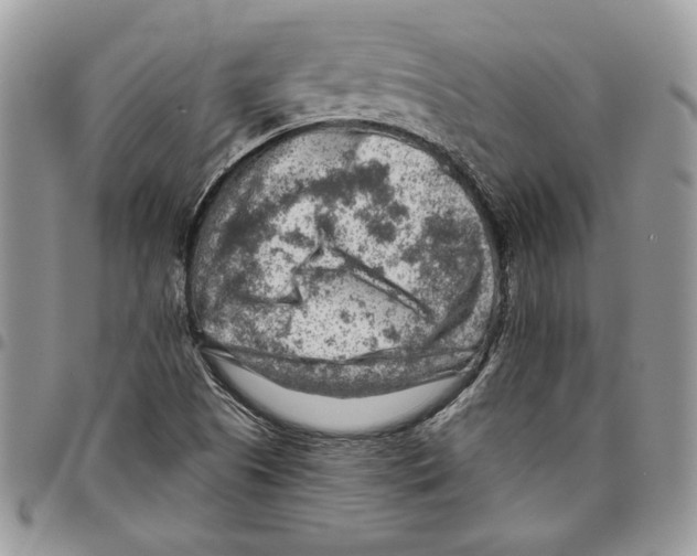 X0000095881505200802081042