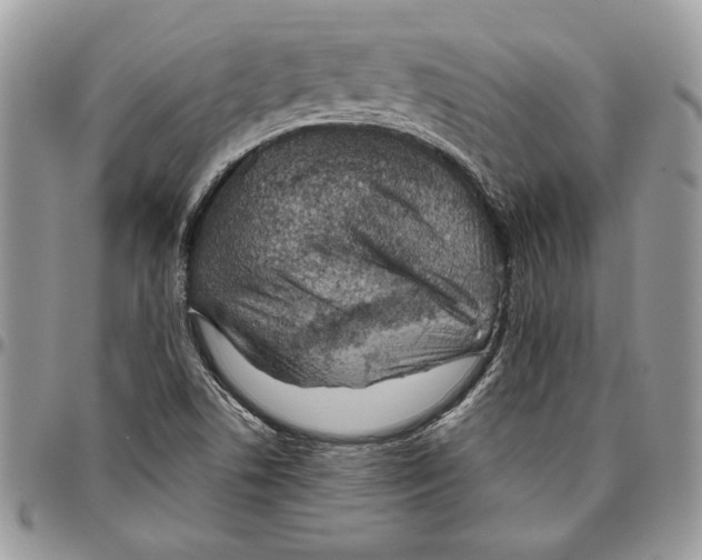 X0000095881506200802081042