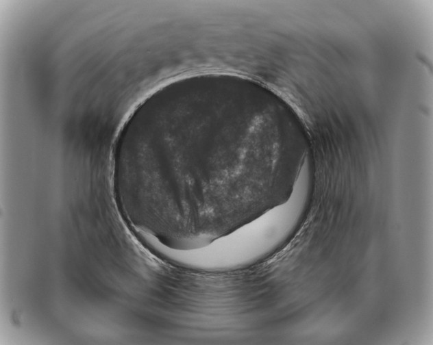 X0000095881508200802081042