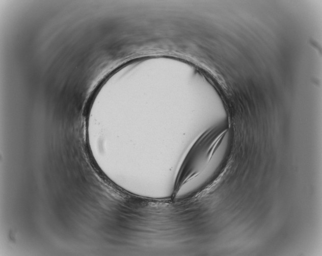 X0000095881509200802081042