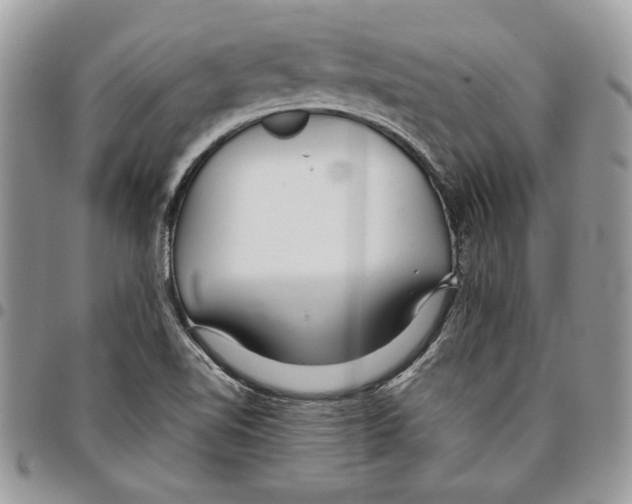 X0000095881510200802081042