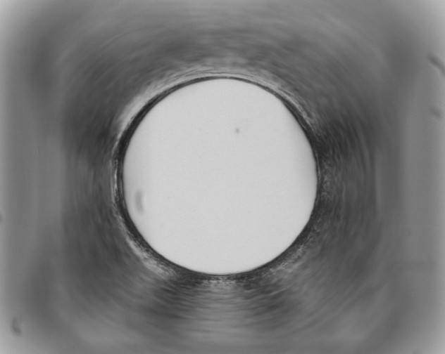 X0000095881511200802081042