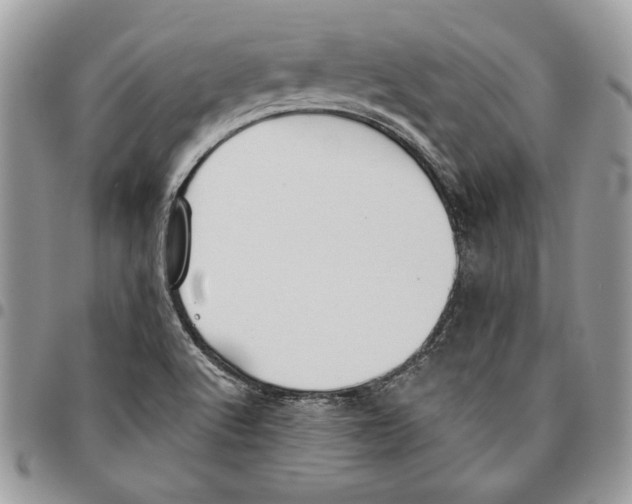 X0000095881512200802081042