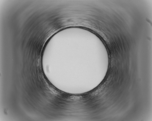 X0000095881513200802081042