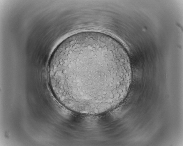 X0000095881514200802081042