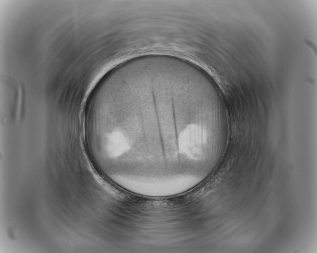 X0000095881515200802081043