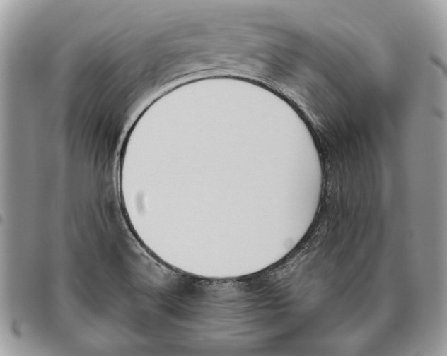 X0000095881516200802081043