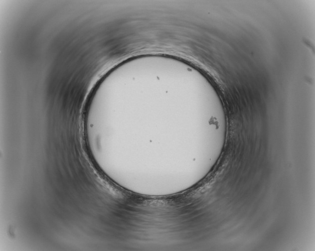 X0000095881517200802081043