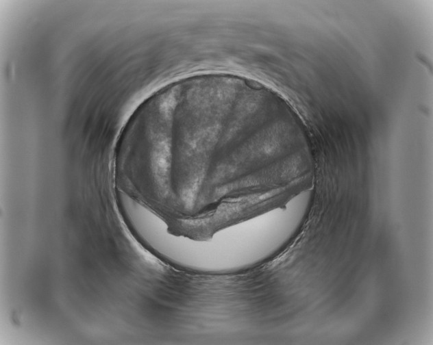 X0000095881519200802081043