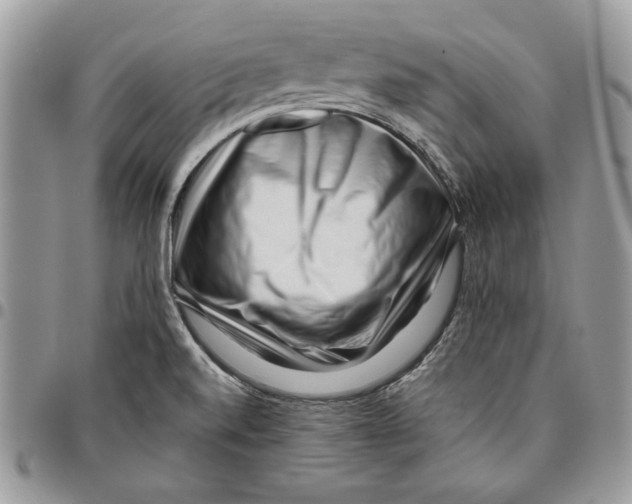 X0000095881520200802081043