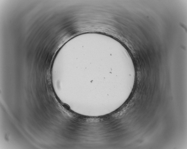 X0000095881521200802081043