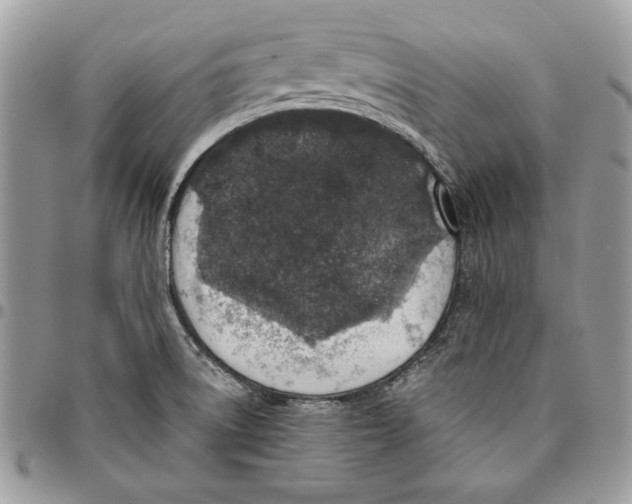 X0000095881522200802081043