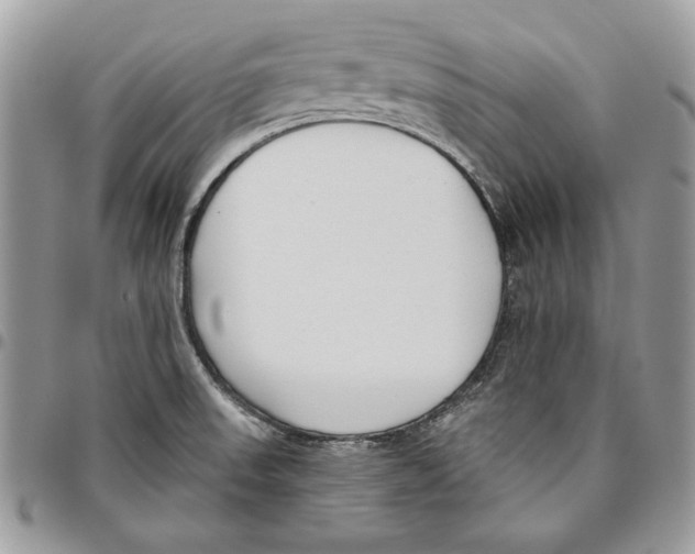 X0000095881523200802081043