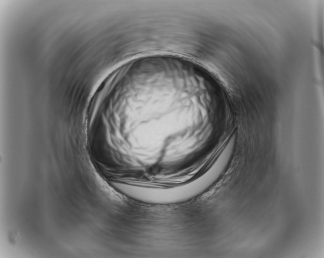 X0000095881524200802081043