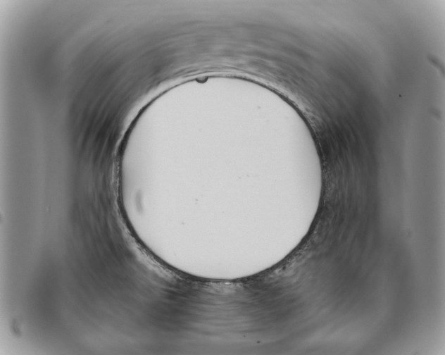 X0000095881526200802081043