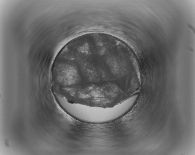 X0000095881527200802081043