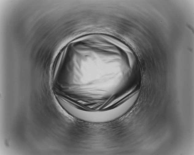 X0000095881528200802081043