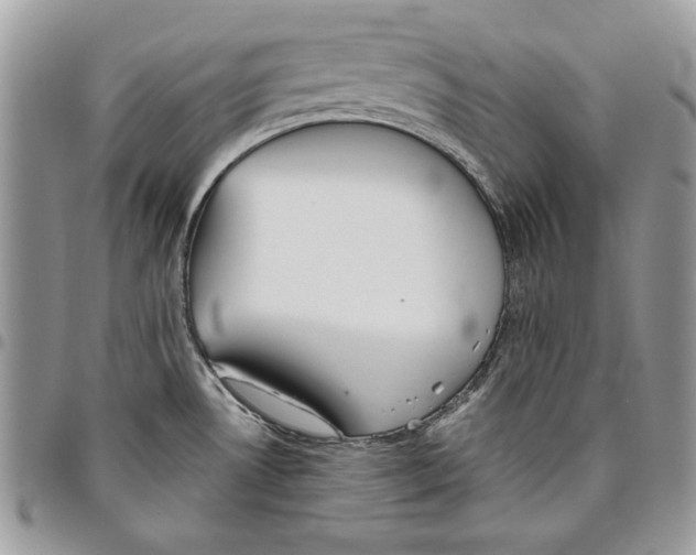 X0000095881530200802081043