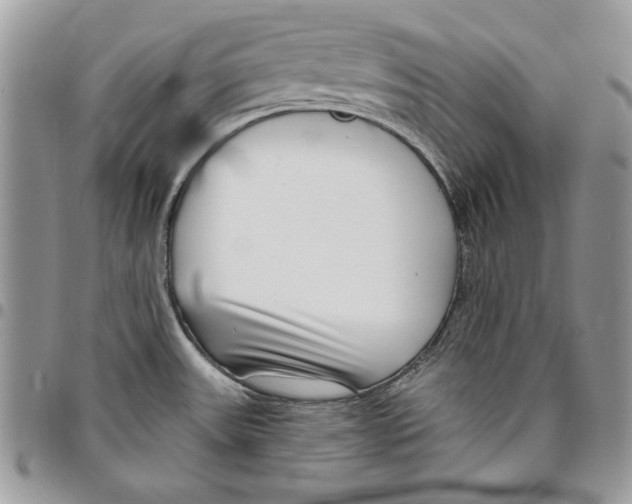 X0000095881531200802081043