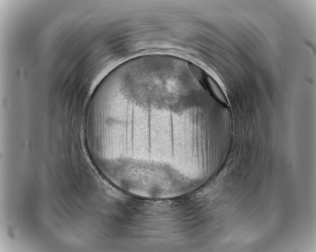 X0000095881533200802081043