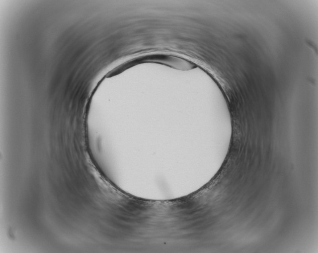 X0000095881534200802081043