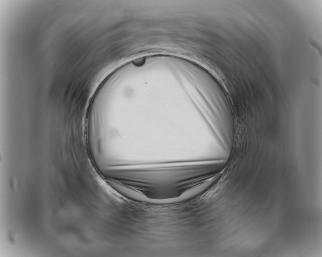 X0000095881535200802081043