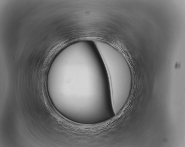 X0000095890001200801110839