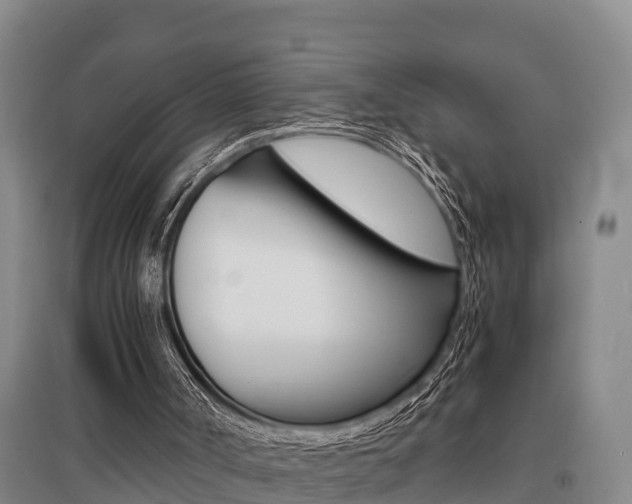 X0000095890002200801110839