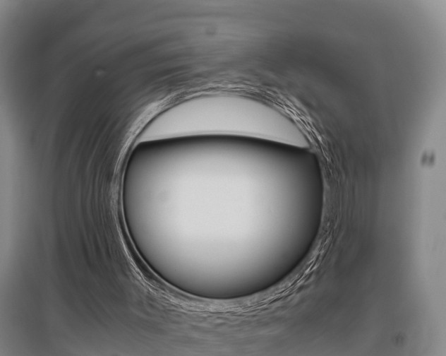 X0000095890003200801110839