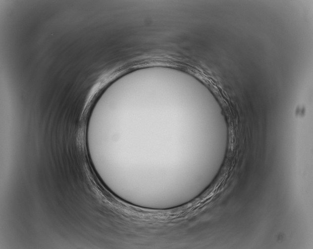 X0000095890004200801110839