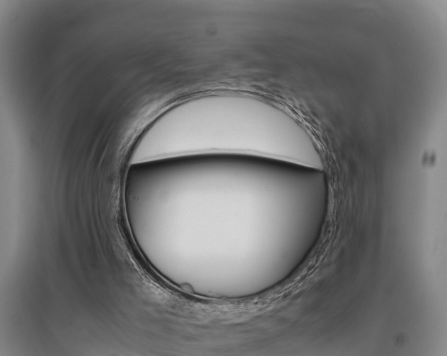 X0000095890005200801110839