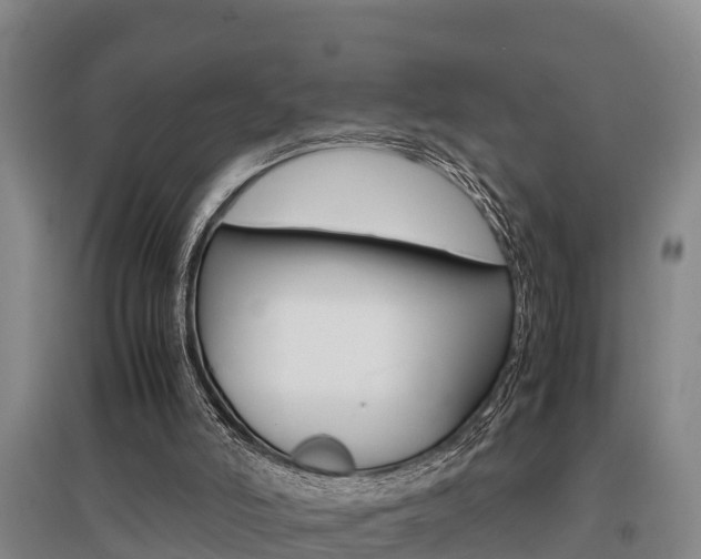 X0000095890006200801110839
