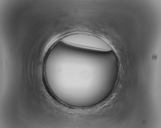 X0000095890007200801110839